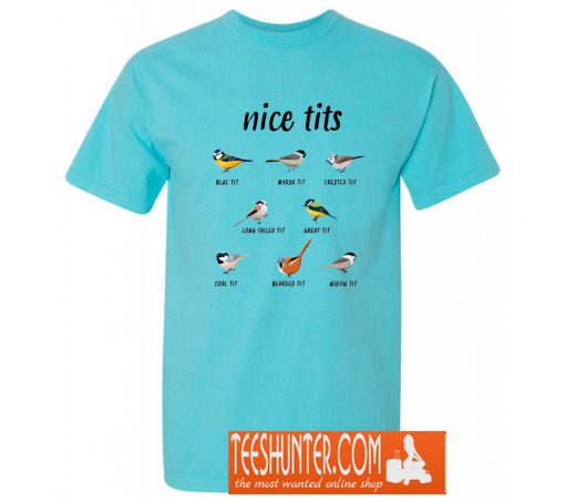 Nice Tits Bird Christmas T-Shirt