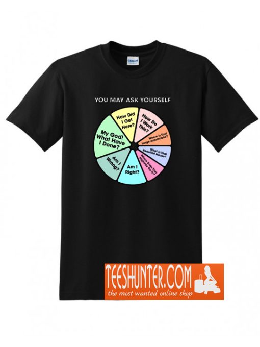 You May Ask Yourself - Once In A Lifetime Pie Chart T-Shirt